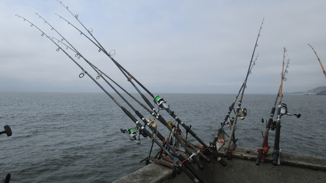 Best Fish to Catch in Urban Waters