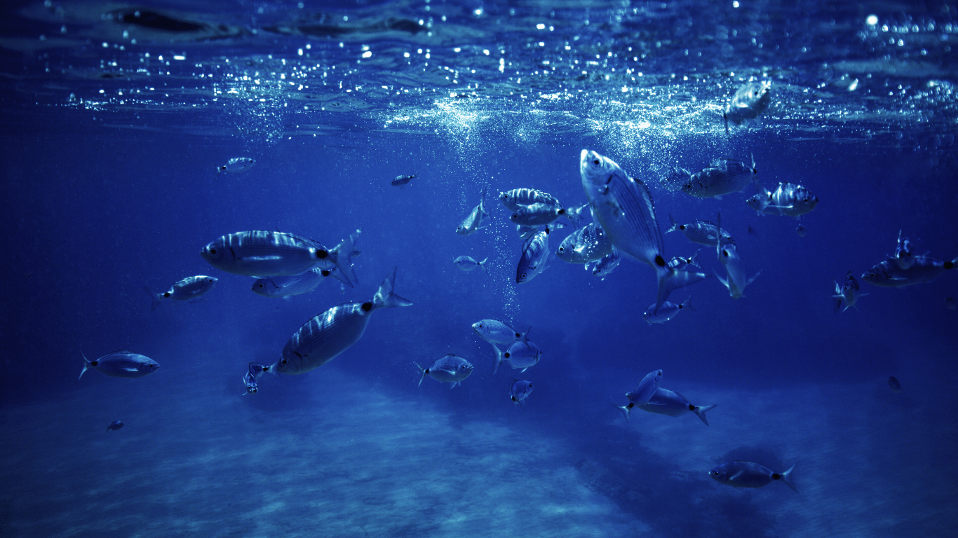 Breaking Waves The Latest Fishing News, Innovations, and Trends from Around the World