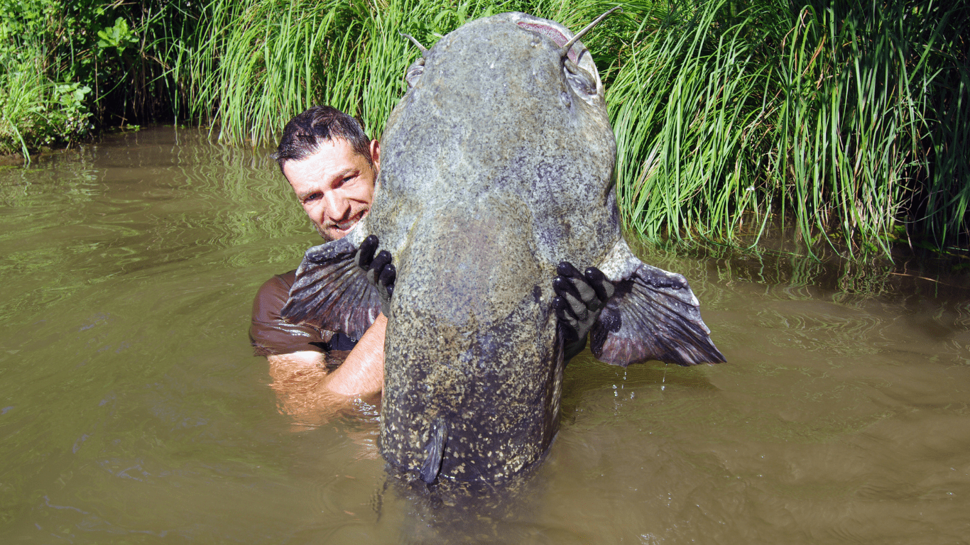 Record-Breaking Catches The Biggest Fish Landed This Year by Anglers Worldwide