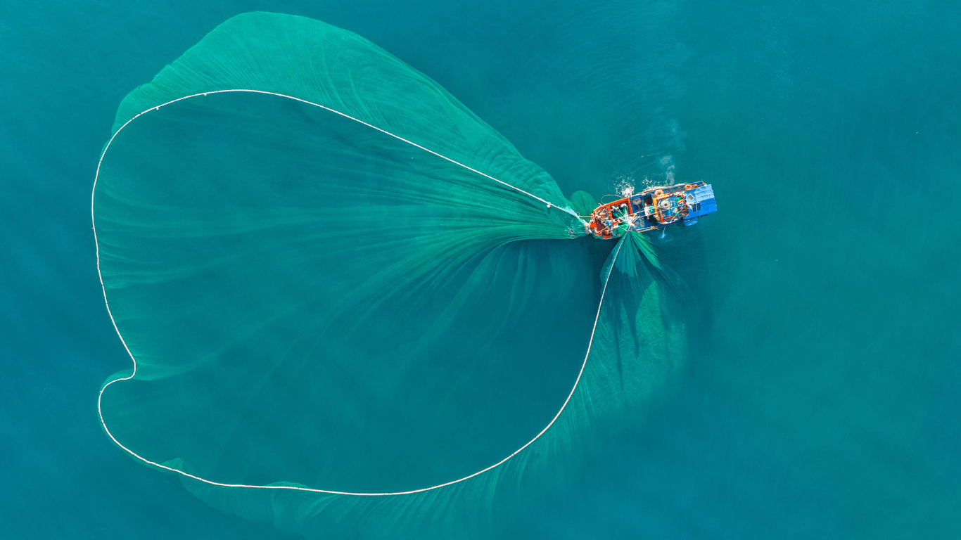 The Rise of Sustainable Fishing How the Industry is Changing to Protect Our Oceans