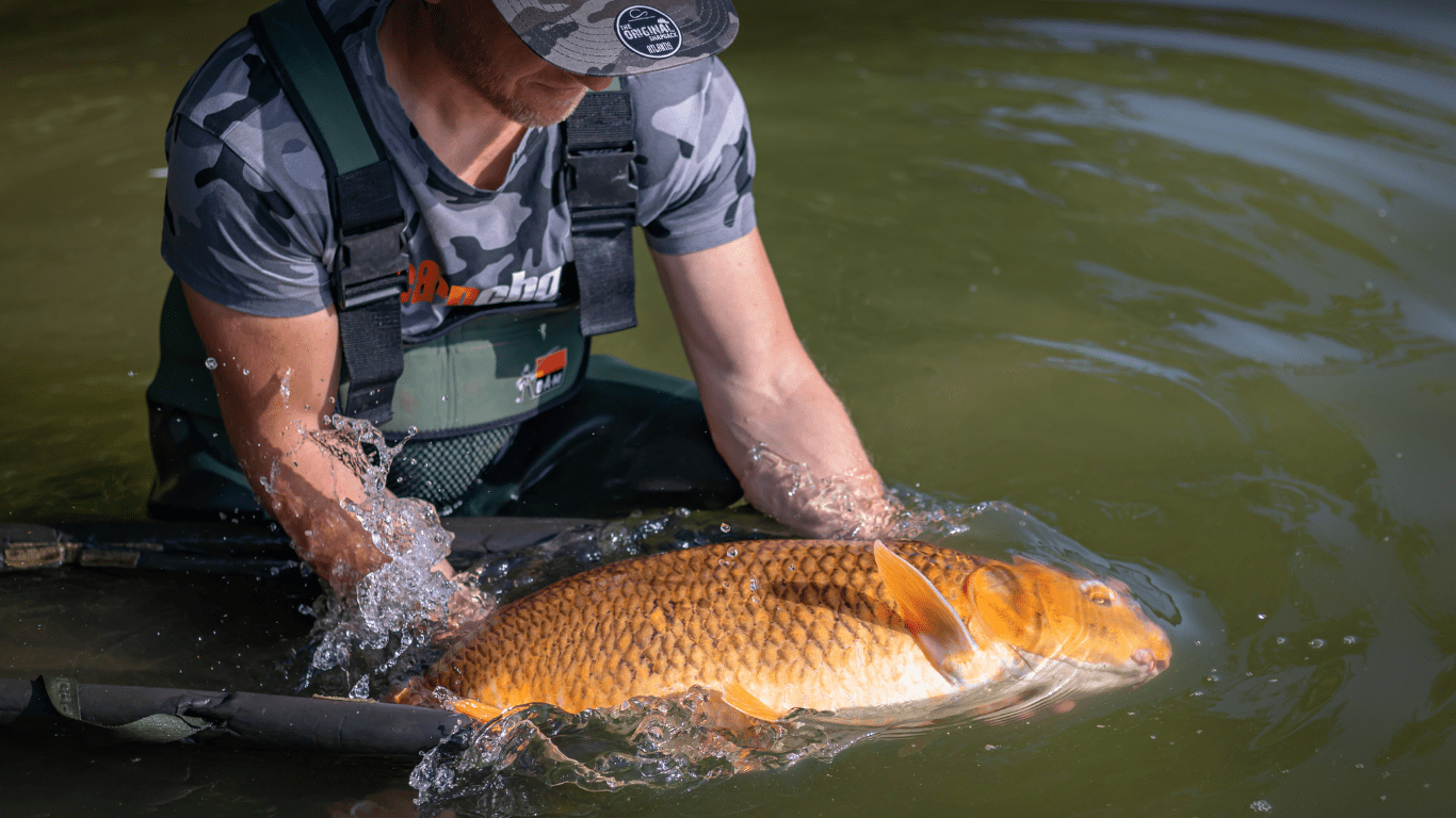 The Ultimate Guide to Catch and Release Fishing: Best Practices for ...