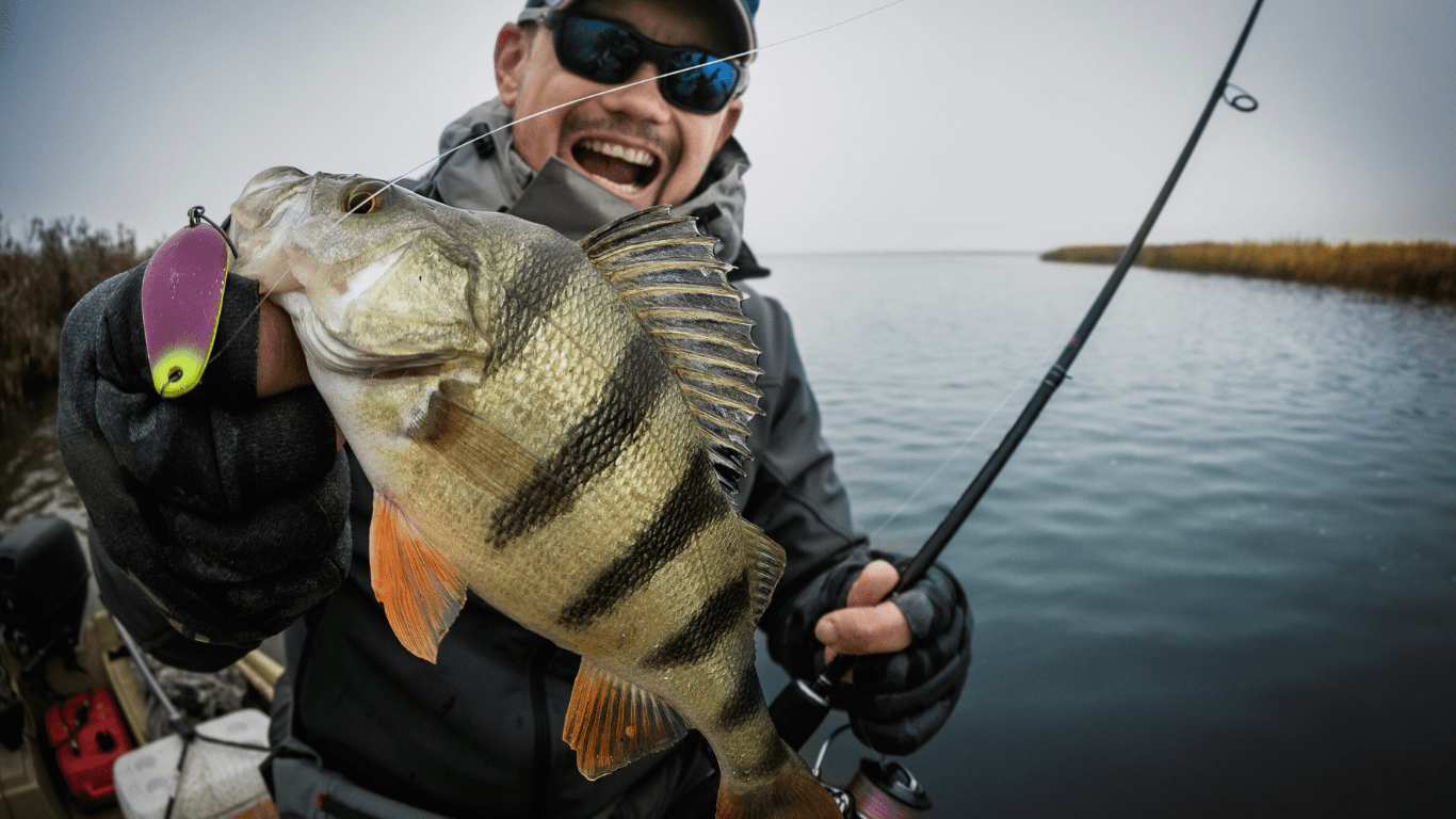 The Ultimate Guide to Seasonal Fishing What’s Biting Right Now and How to Catch Them