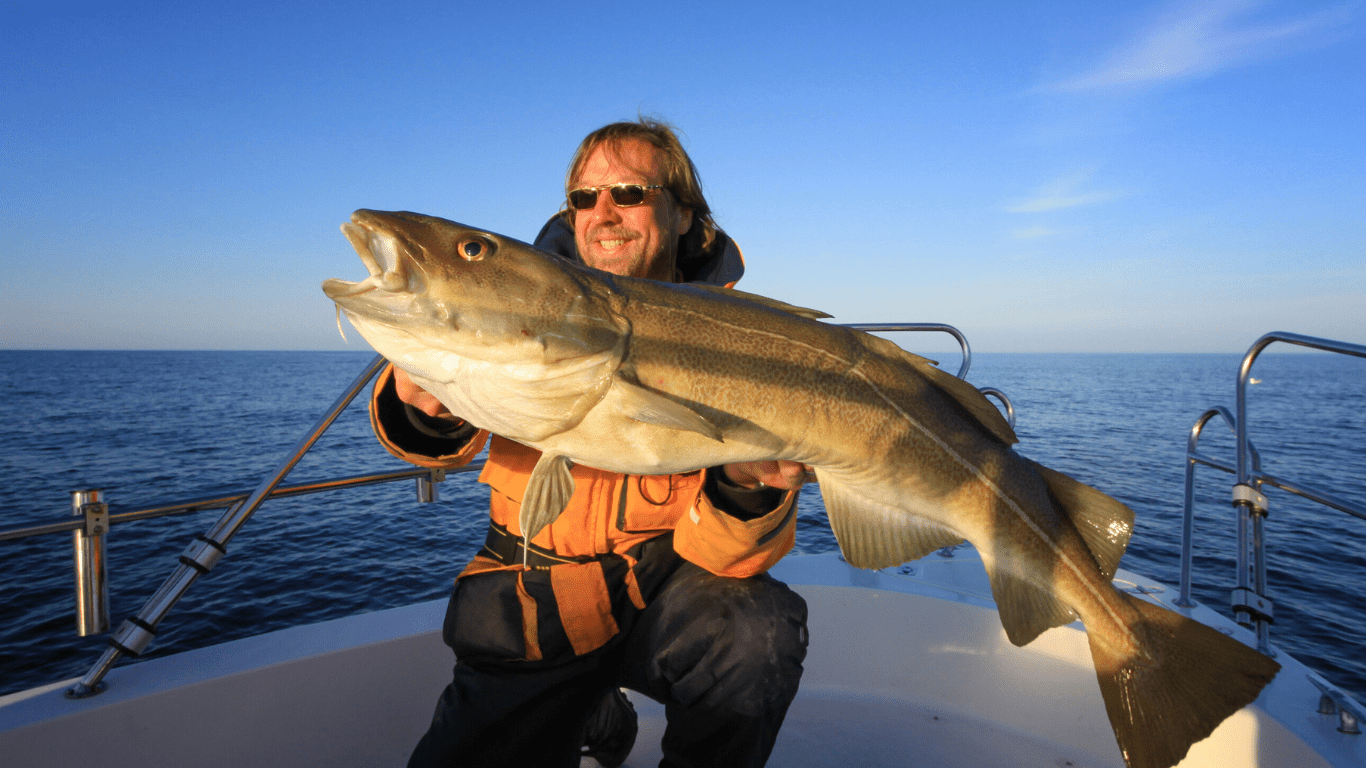 Trophy Fish Sightings Recent Reports of Rare and Giant Catches Making Waves Worldwide