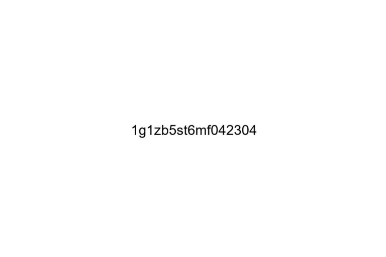 1g1zb5st6mf042304