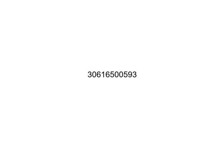 30616500593