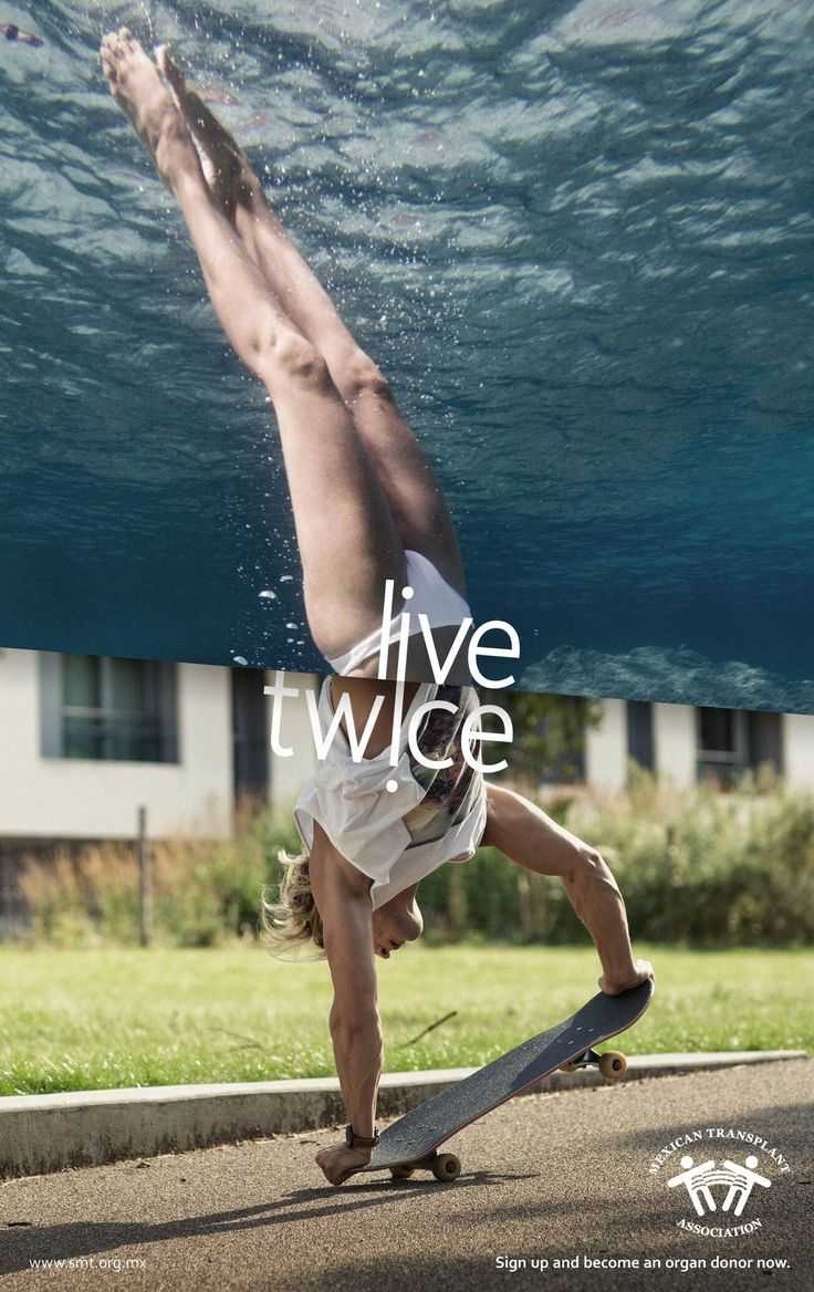 8756464d718df5b9d262cf9aa5108ac8