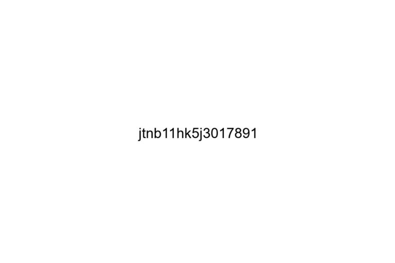 jtnb11hk5j3017891