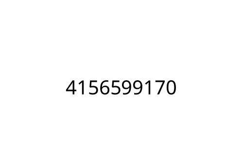 4156599170