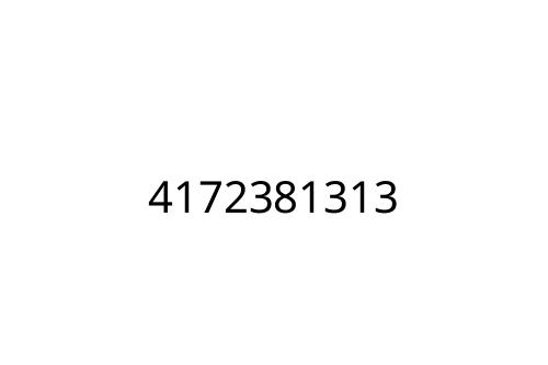 4172381313