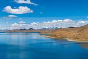 add tea tree oil to body wash