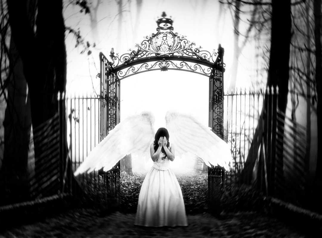 whoispiperpresley leaked