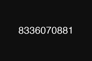 8336070881