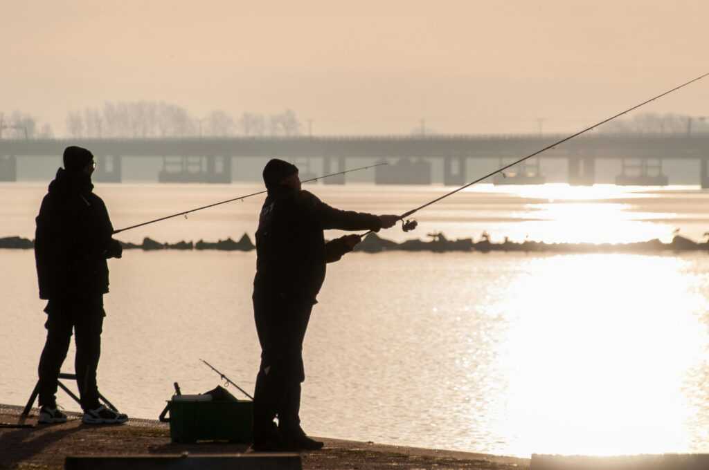 d63afd81-2074-4518-9690-7e286121300d