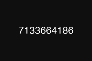 7133664186