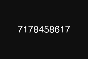 7178458617