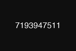 7193947511
