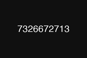 7326672713