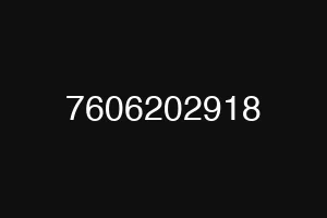 7606202918