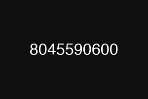 8045590600