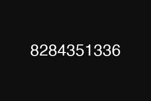 8284351336