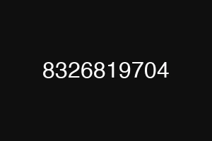 8326819704