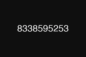 8338595253