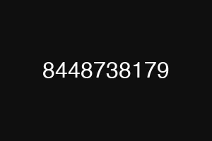 8448738179