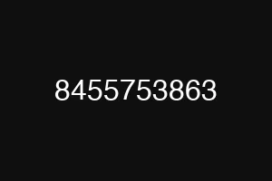 8455753863