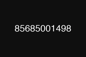 85685001498