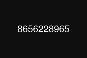 8656228965