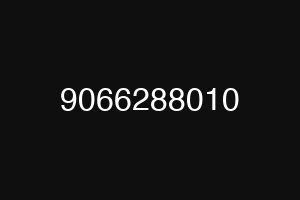 9066288010