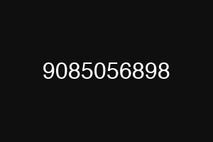 9085056898