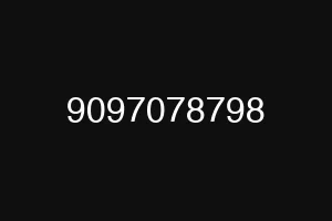 9097078798