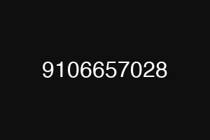 9106657028