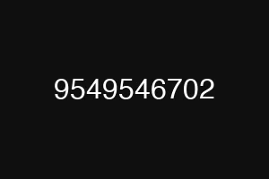 9549546702